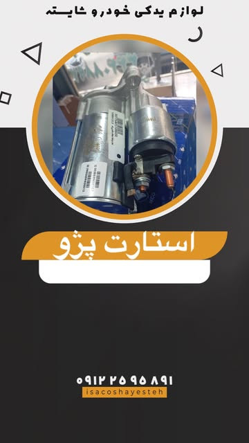 استارت پژو شرکتی